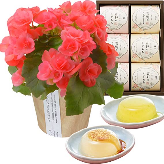 �꡼������ �٥��˥� �� ���ե� ������ �ץ쥼��� �꡼�������٥��˥� ȭ���� ��ȭ
