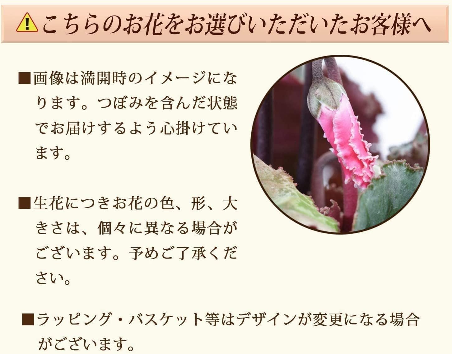 �������� ���ե� �ץ쥼��� �� ȭ���� ȭ�� ������ 6��ȭ �ץ�ޡ����� ��å�