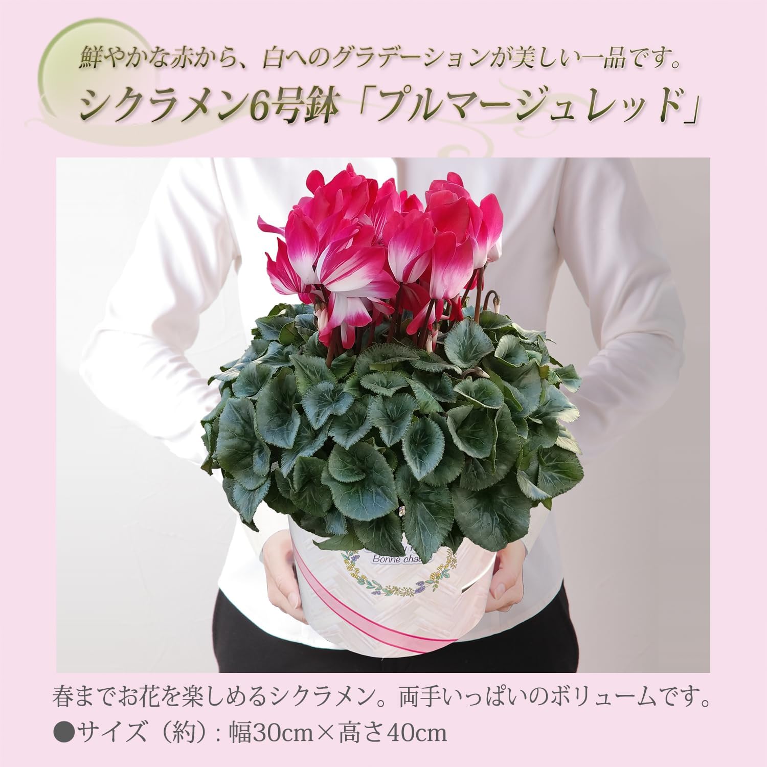 �������� ���ե� �ץ쥼��� �� ȭ���� ȭ�� ������ 6��ȭ �ץ�ޡ����� ��å�