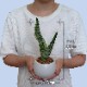 ���󥹥٥ꥢ �פ��� ���󥹥٥ꥢȭ���� �ߥ˴��տ�ʪ ���󥹥٥ꥢ�ߥ�