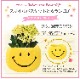 ����󥳥� ��ȭ ȭ���� �ե����ե� ���� ���ޥ��� �ץ쥼��� ����󥳥��β�