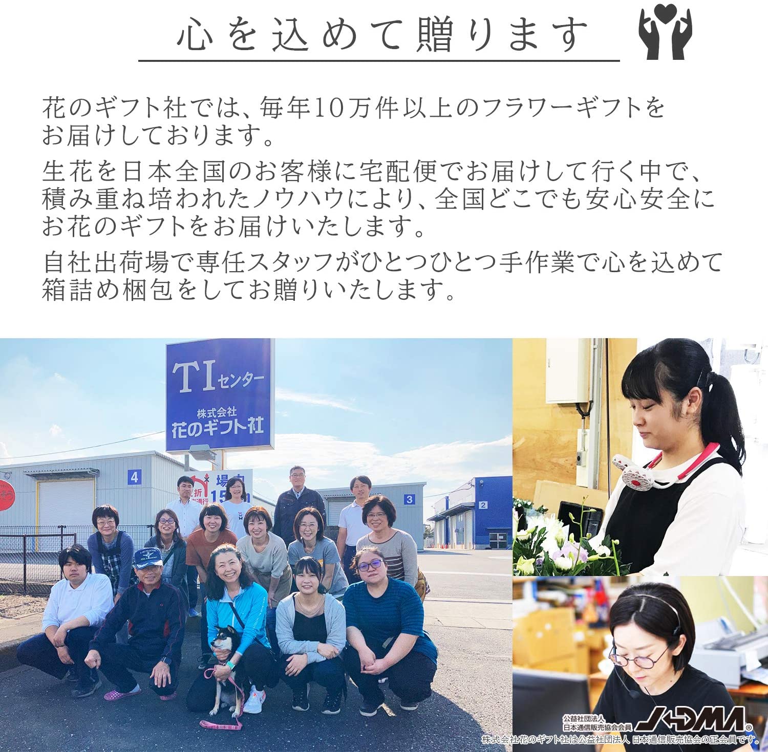 �꡼������ �٥��˥� �� ���ե� ������ �ץ쥼��� �꡼�������٥��˥� ȭ���� ��ȭ