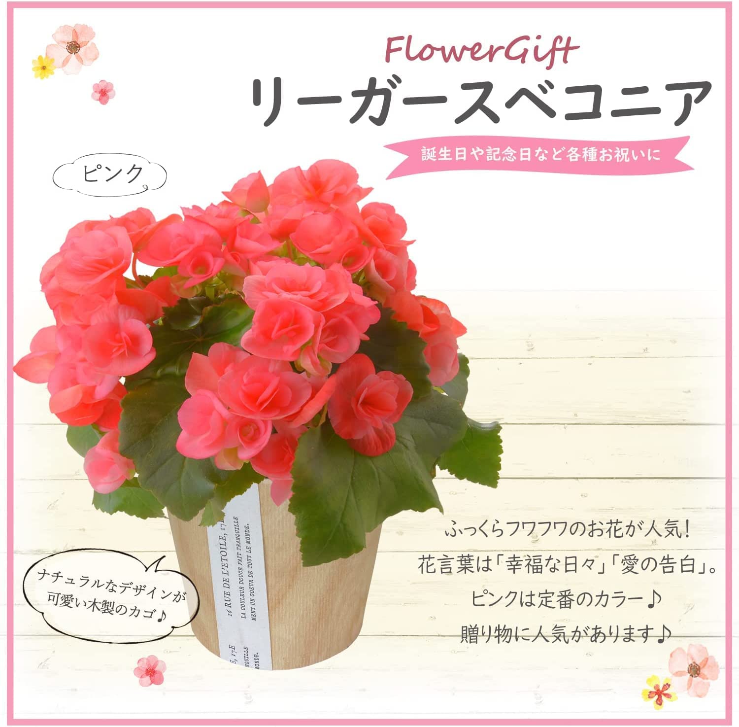 �꡼������ �٥��˥� �� ���ե� ������ �ץ쥼��� �꡼�������٥��˥� ȭ���� ��ȭ