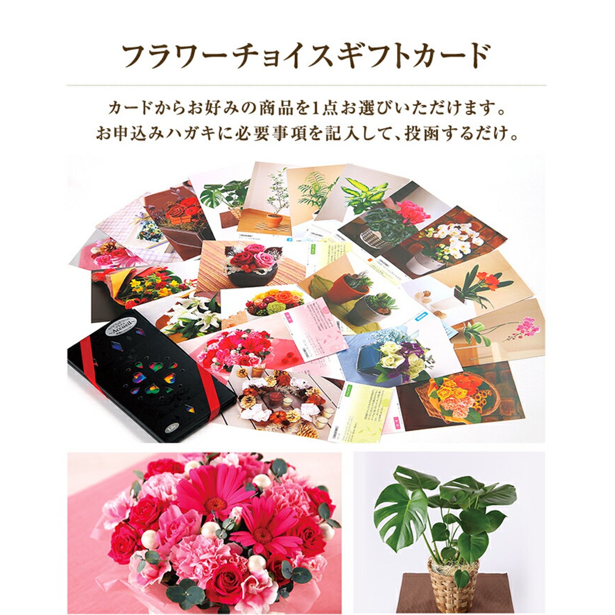 カタログギフト フラワー チョイスカード アクイユ リリーコース