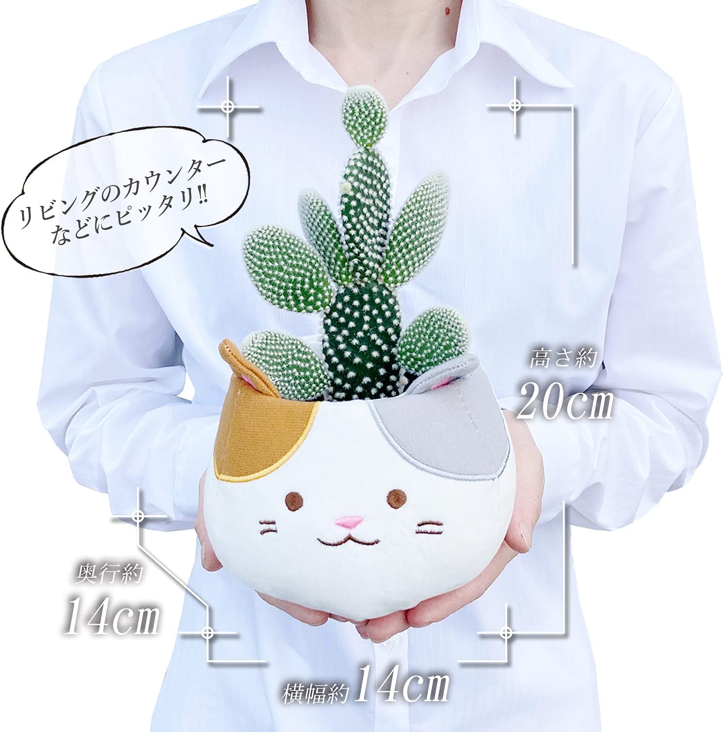 ���ܤƤ� �����掠�ܥƥ� ����ǭ�Х����å� ȭ���� ���� ¿����ʪ �ץ쥼��� ���ե�