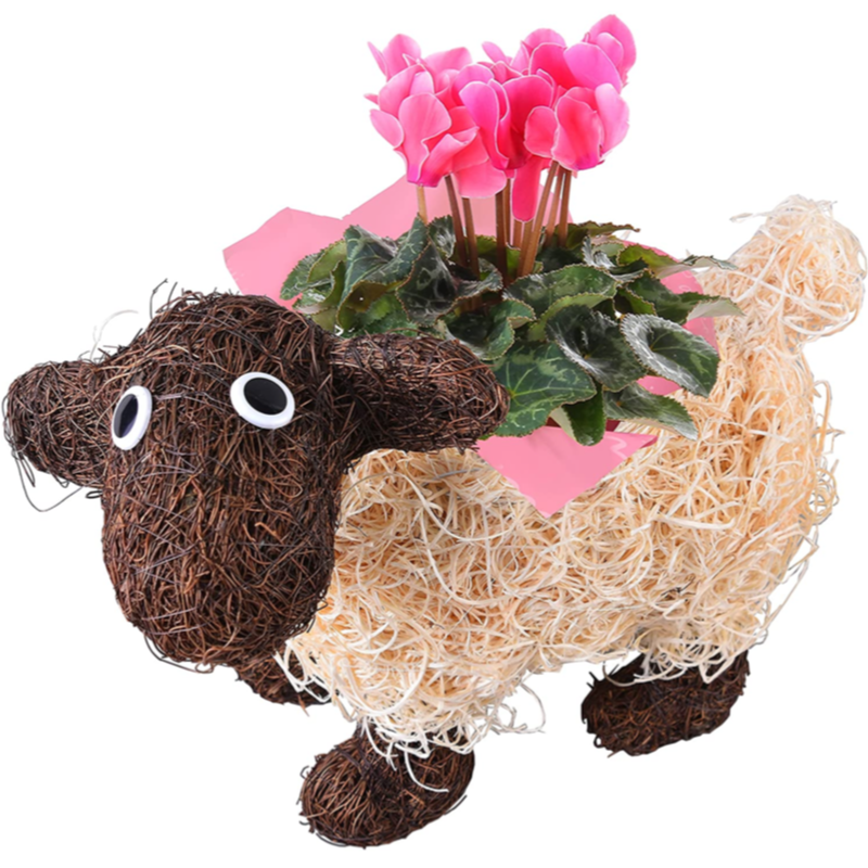 �ҤĤ� �� �ߥ˥������� ȭ���� �ե����ե� �� �ץ쥼��� �ߥ��ե� ���� 3��ݥå�