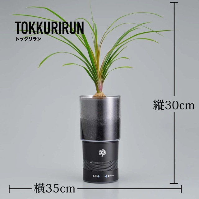 植物とスピーカーの2個セット】緑と音楽を同時に楽しめる インテリア