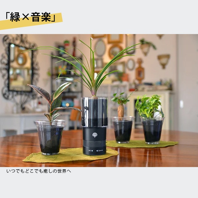 植物とスピーカーの2個セット】緑と音楽を同時に楽しめる インテリア