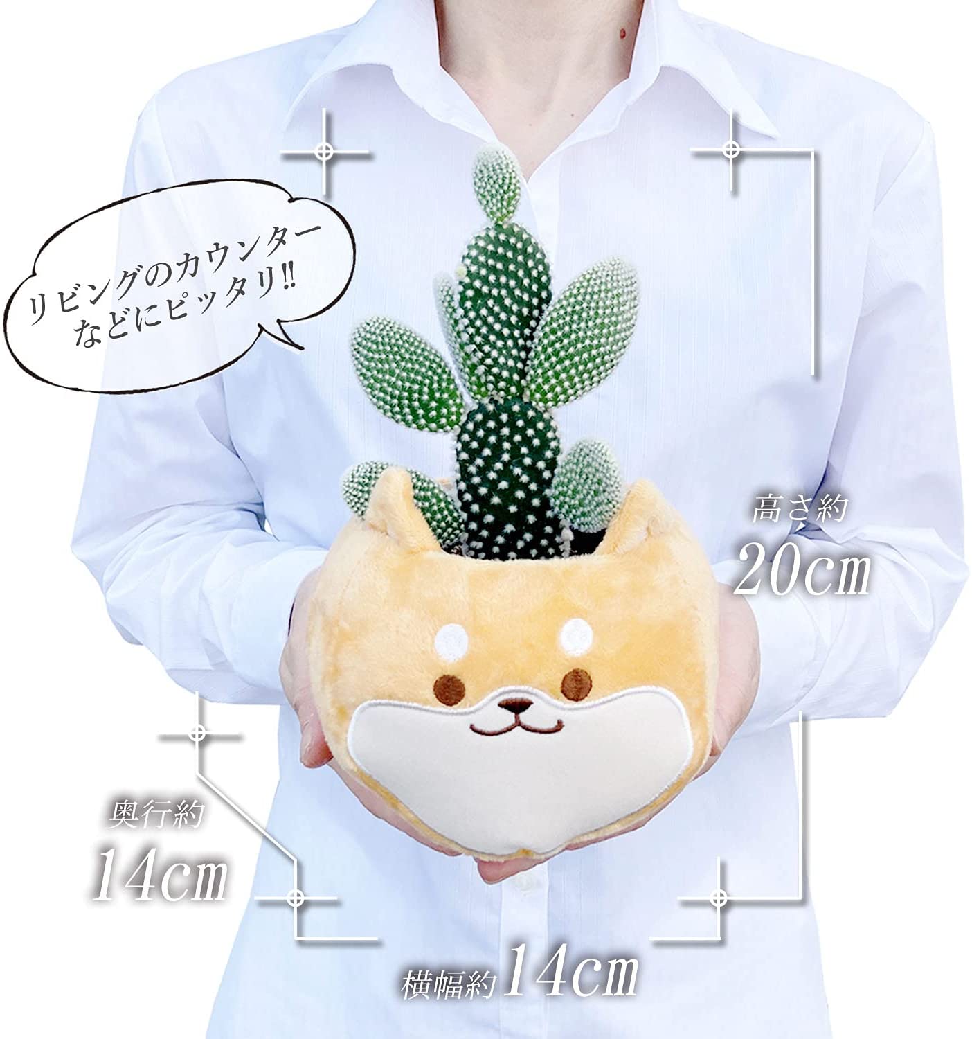 ���ܤƤ� �����掠�ܥƥ� �Ƹ��Х����å� ȭ���� ���� ¿����ʪ �ץ쥼��� ���ե�