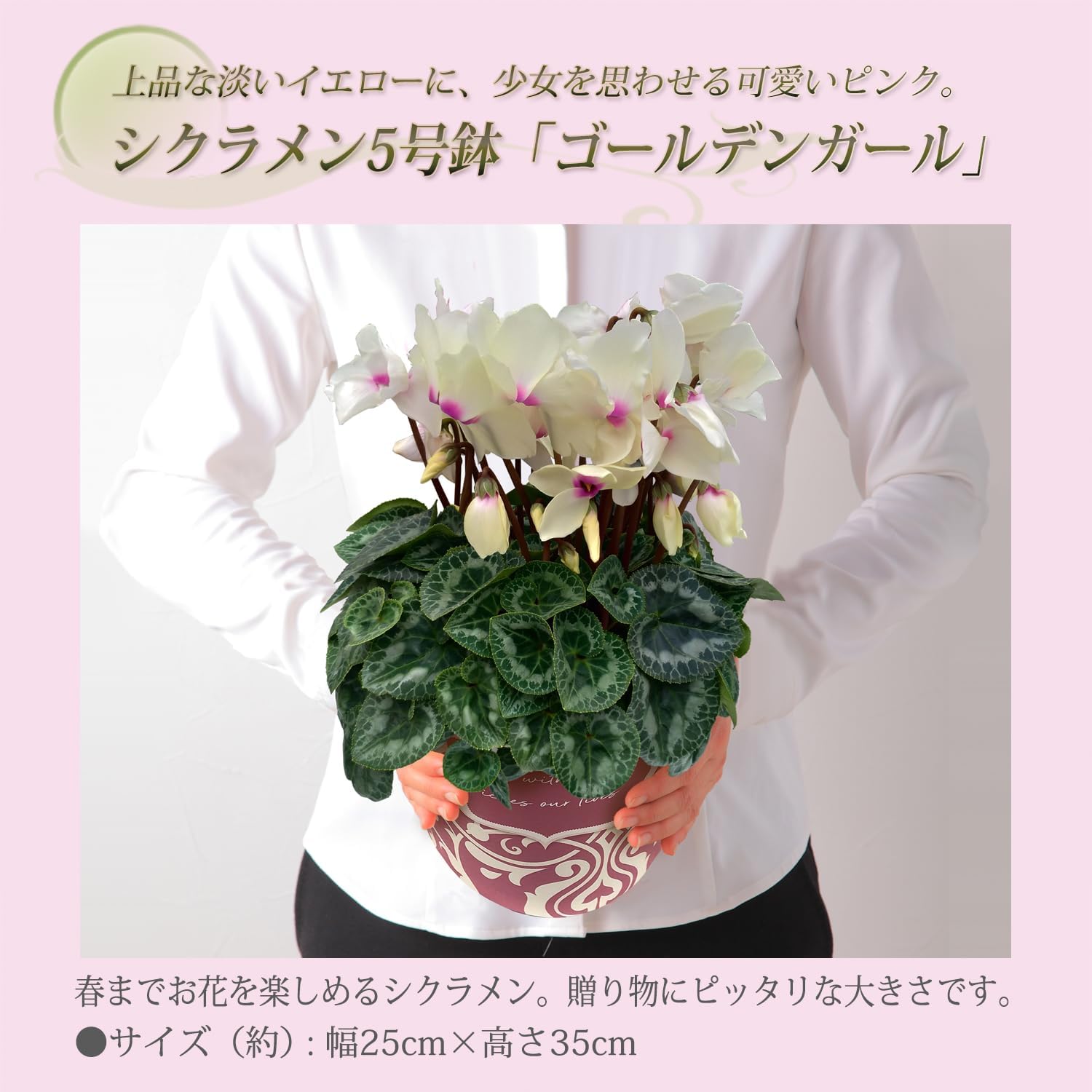�������� ���ե� �ץ쥼��� �� ȭ���� ȭ�� ������ 5��ȭ �� ������ǥ󥬡���