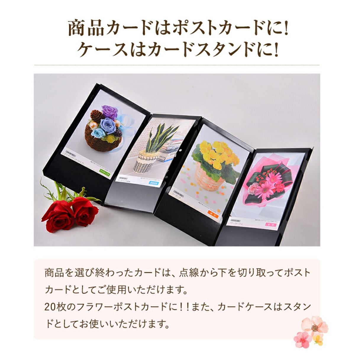 �����������ե� �ե� ���祤�������� �������� �� �ץ쥼��� ������������