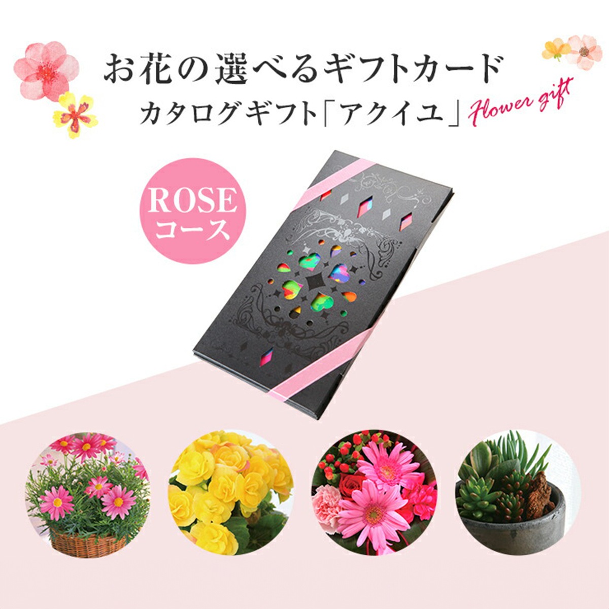 �����������ե� �ե� ���祤�������� �������� �� �ץ쥼��� ������������