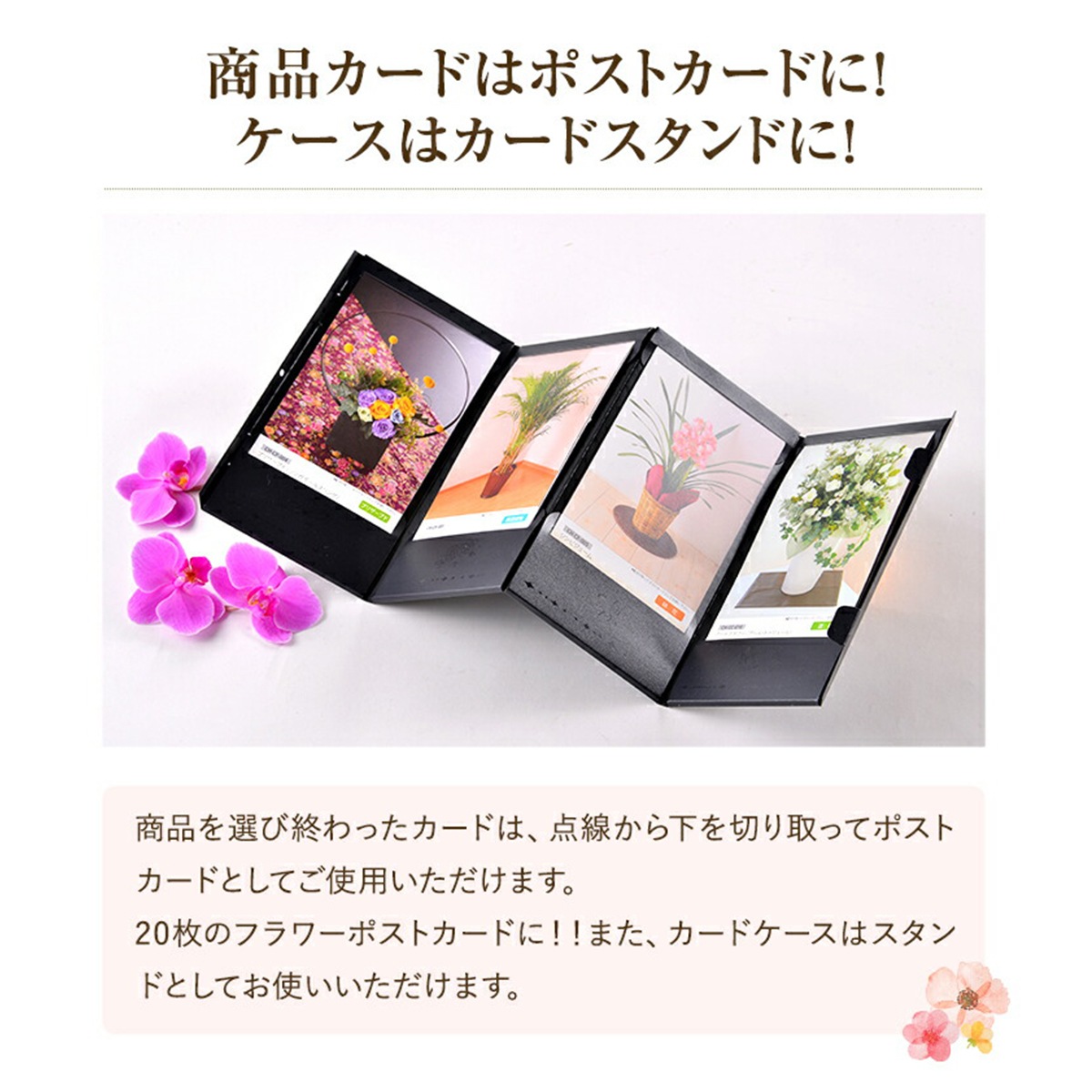 �����������ե� �ե� ���祤�������� �������� �� �ץ쥼��� ���ȥ쥢������