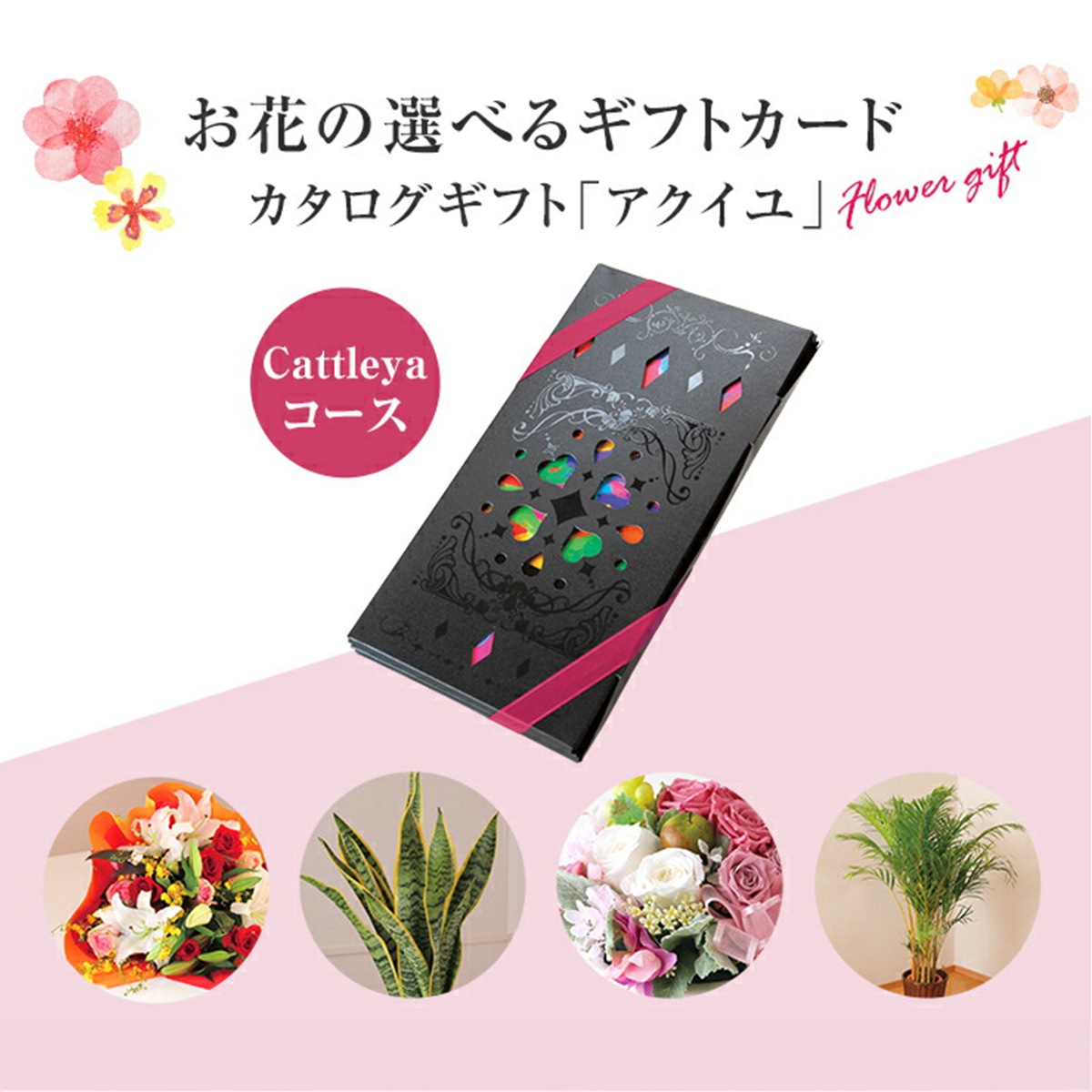 �����������ե� �ե� ���祤�������� �������� �� �ץ쥼��� ���ȥ쥢������