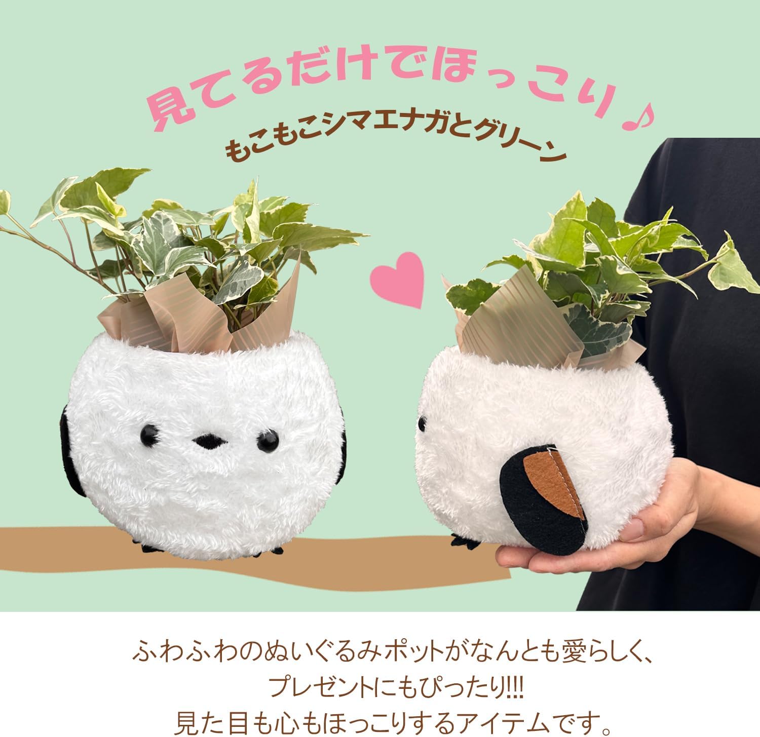 �����ӡ� ���տ�ʪ �ߥ� ��ʪ ȭ���� �ץ쥼��� ���ե� ���ޥ��ʥ� ���ޤ��ʤ�