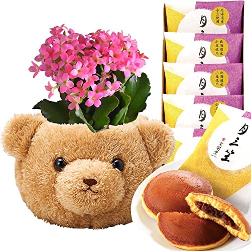 ����󥳥� ¿����ʪ ���� �դ�դ� �Х����å� ʸ��Ʋ �ɤ�Ƥ� ȭ�� �ץ쥼���