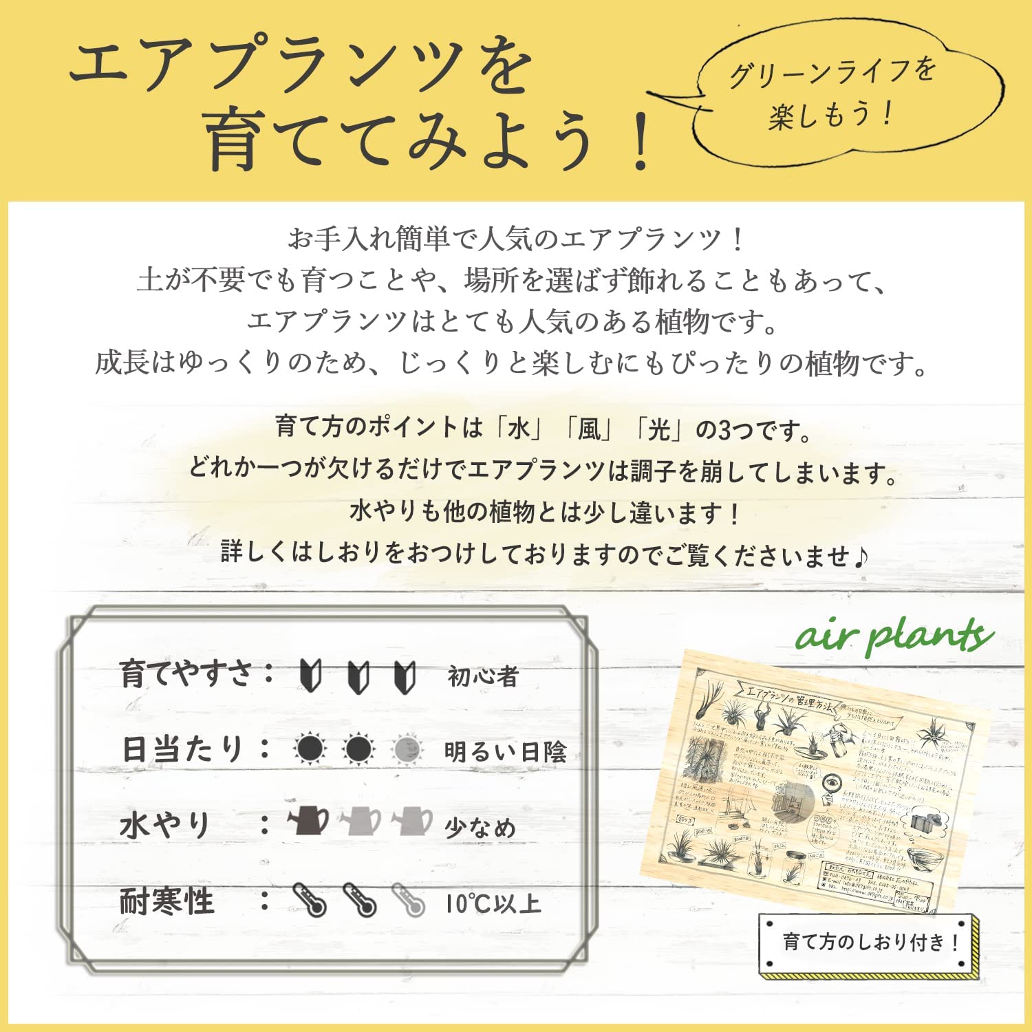 �����ץ��� ����󥸥� ��ʪ �ϥ󥮥� ����ƥꥢ ������� �ߤ겼��