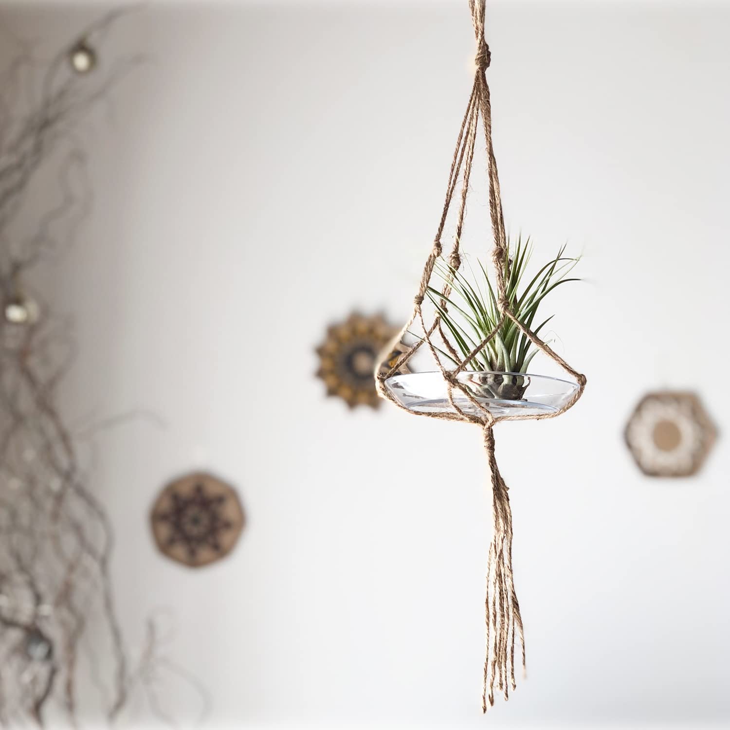 �����ץ��� ����󥸥� ��ʪ �ϥ󥮥� ����ƥꥢ ������� �ߤ겼��