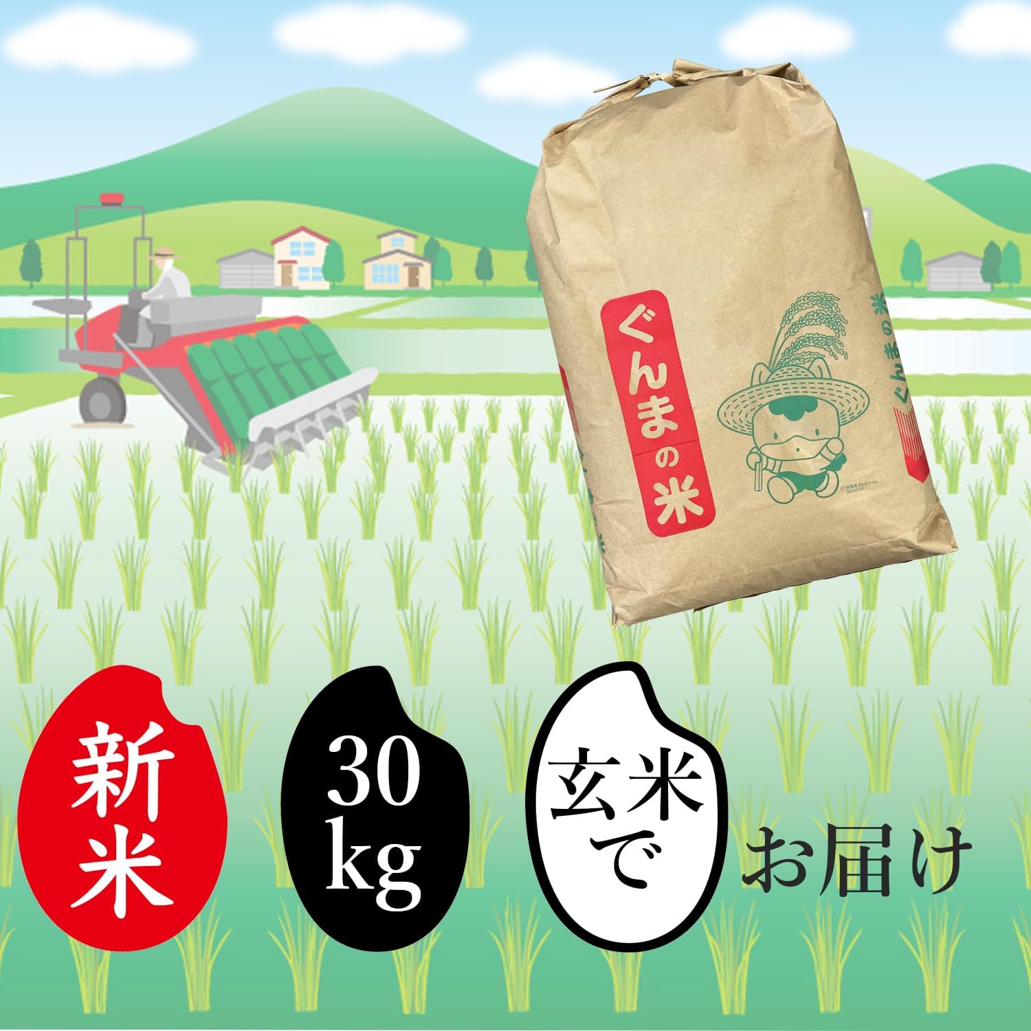 新米 令和7年産 米 30kg 玄米 群馬県産 お米 おこめ 30キロ にじの