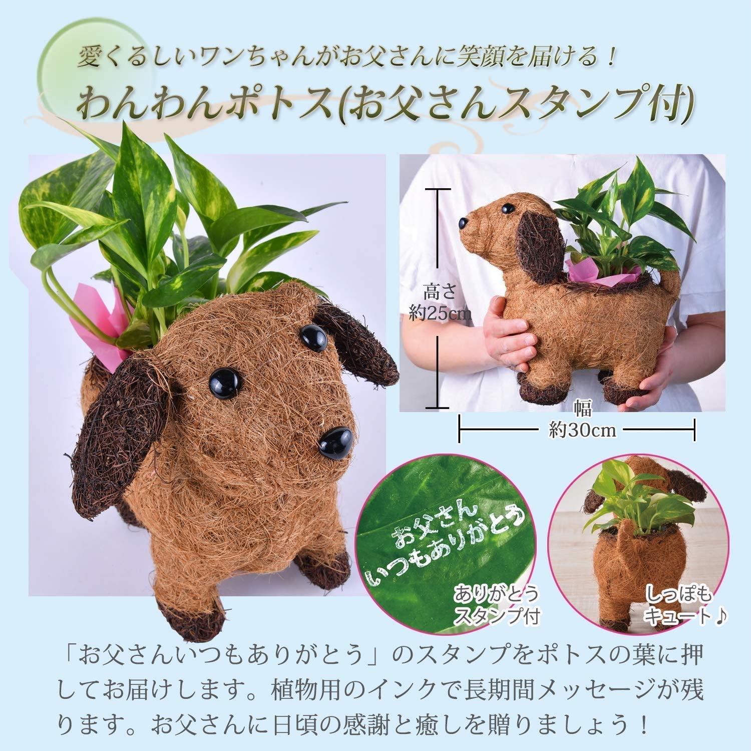  Хå ݥȥ ȭ  3ݥå  տʪ