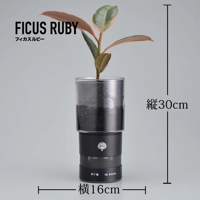 植物とスピーカーの4個セット】緑と音楽を同時に楽しめる インテリア