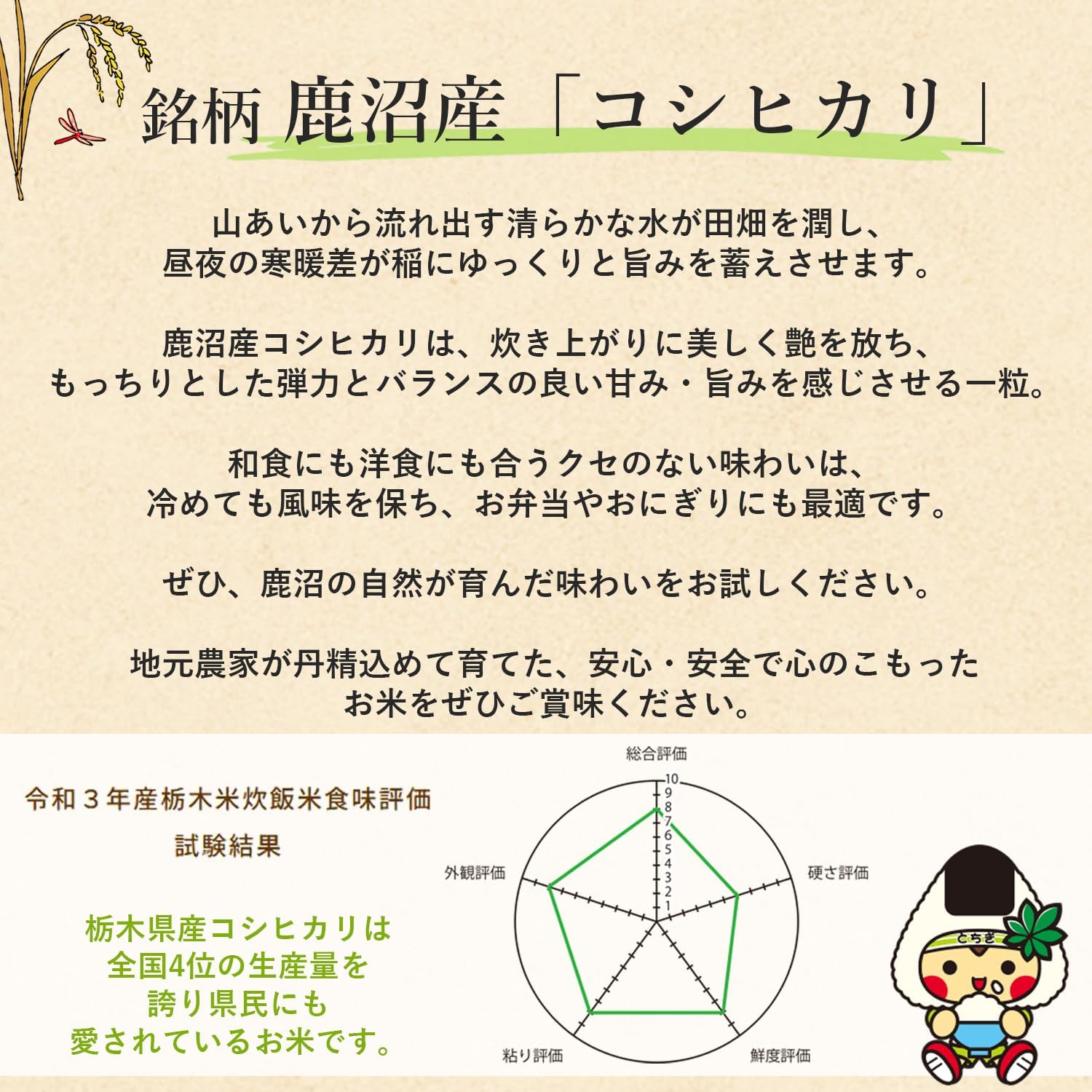 新米 令和7年産 米 30kg 玄米 お米 おこめ 30キロ 栃木県産 コシヒカリ