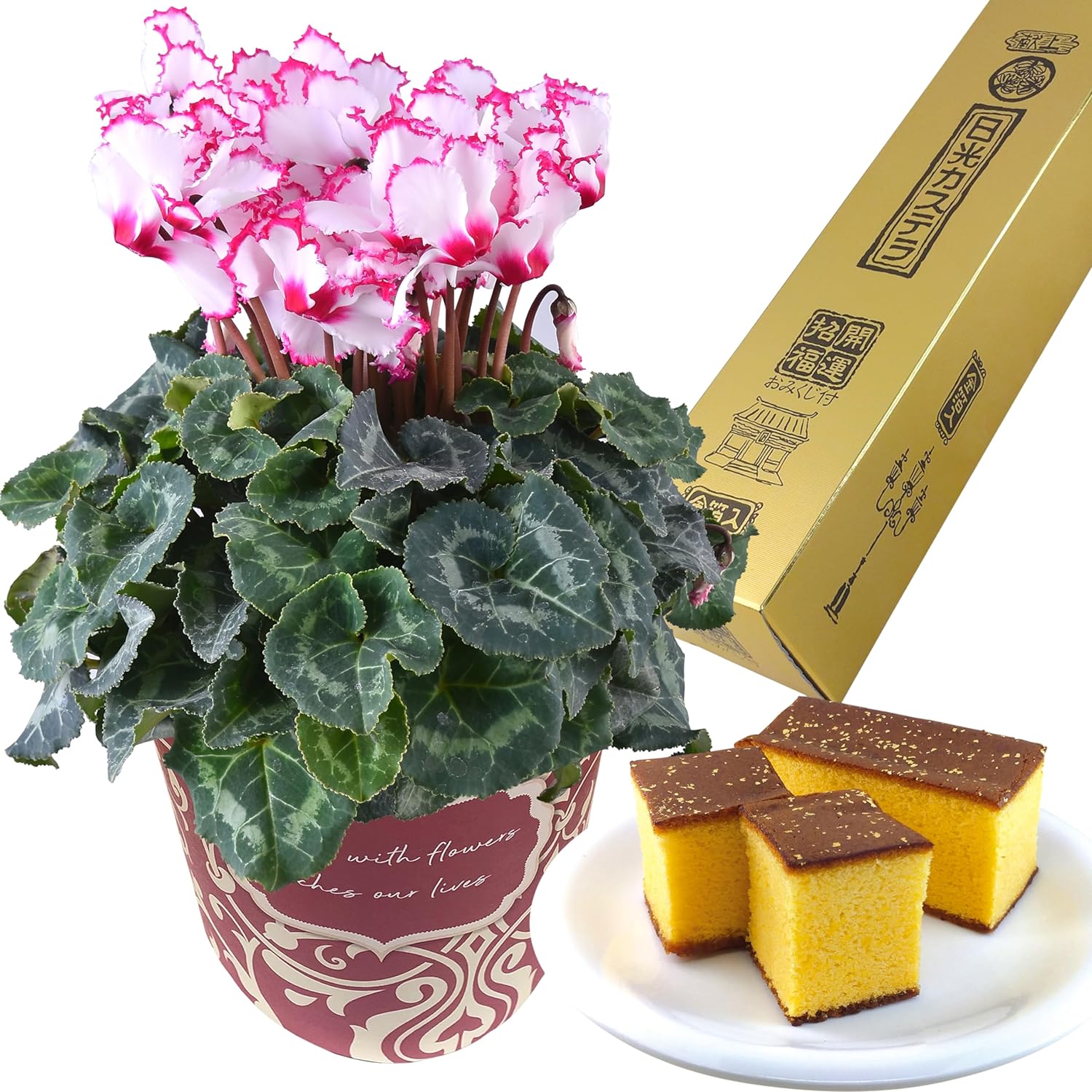 �������� ���ե� �ץ쥼��� �� ȭ���� ȭ�� ������ 5��ȭ �ӥ��ȥꥢ ���ۻ�