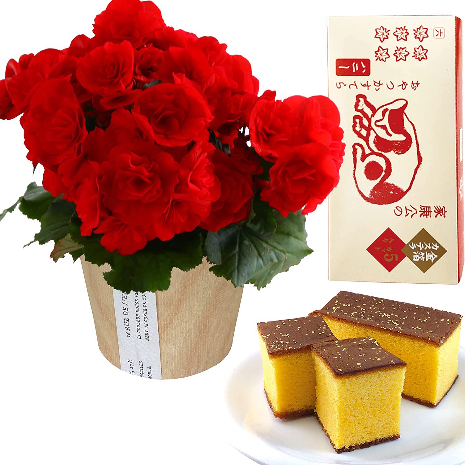 �꡼������ �٥��˥� �� ���ե� ������ �ץ쥼��� �꡼�������٥��˥� ȭ���� �� ȭ