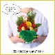 �޽ե���� ä ���� ������β� ������ ����󥸥��� ����󥸲� �޽� ��