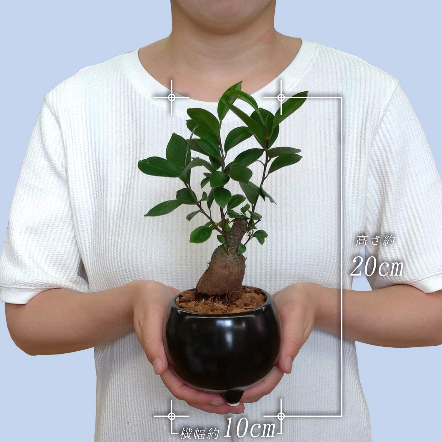 ������ޥ� ������ޤ� ������ޥ���� ������ޥ�ȭ���� ¿������ ���տ�ʪ �ߥ˴���