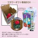 �������� �ӥ��ȥꥢ ȭ�� �� �����ƥ� ���ե� �� �ץ쥼��� 5��ȭ �²ۻ� ����