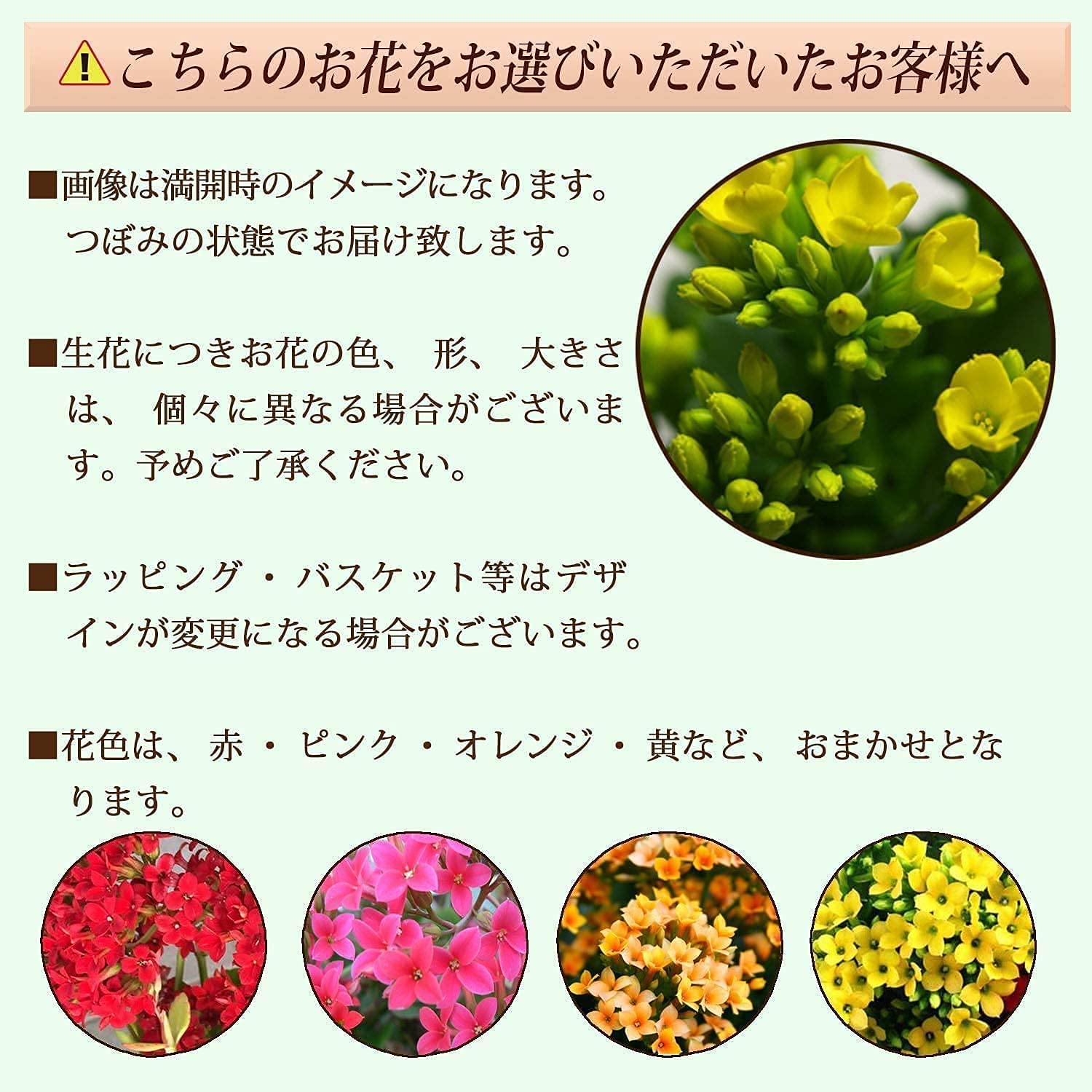 ����󥳥� ¿����ʪ ���� �դ�դ� �Х����å� �糰�Խ� ���ټ�¤ ���ƶ���� �ϼ�