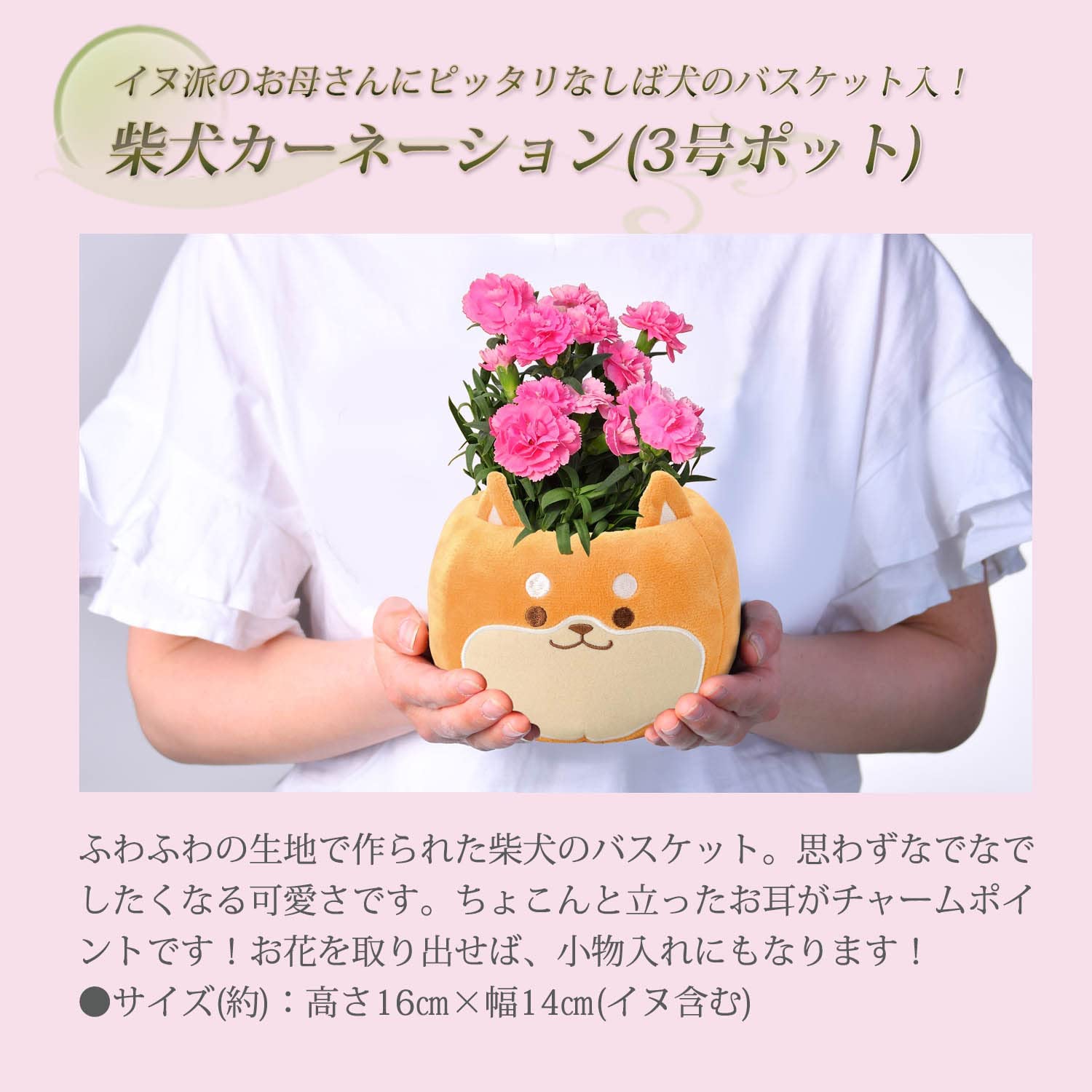 ����� �� ȭ���� �����͡������ �ץ쥼��� ��ȭ ��������ե� ������Υץ쥼���