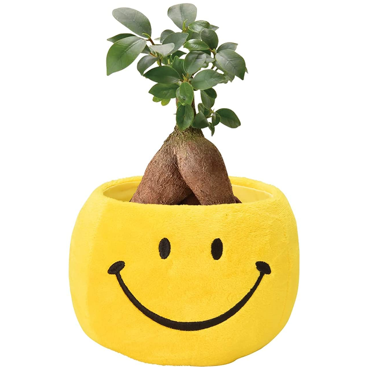 ������ޥ���� ������ޥ�ȭ���� ¿������ ������ޥ� ���ޥ��� �ߥ˴��տ�ʪ ����