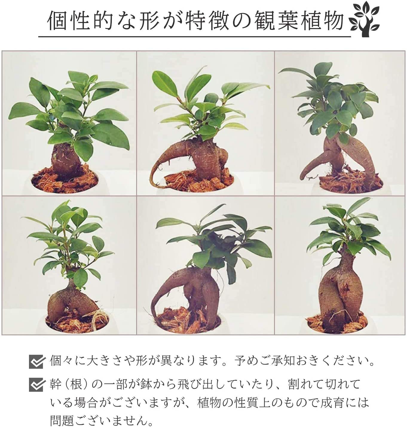 ������ޥ���� ������ޥ�ȭ���� ¿������ ������ޥ� ���ޥ��� �ߥ˴��տ�ʪ ����