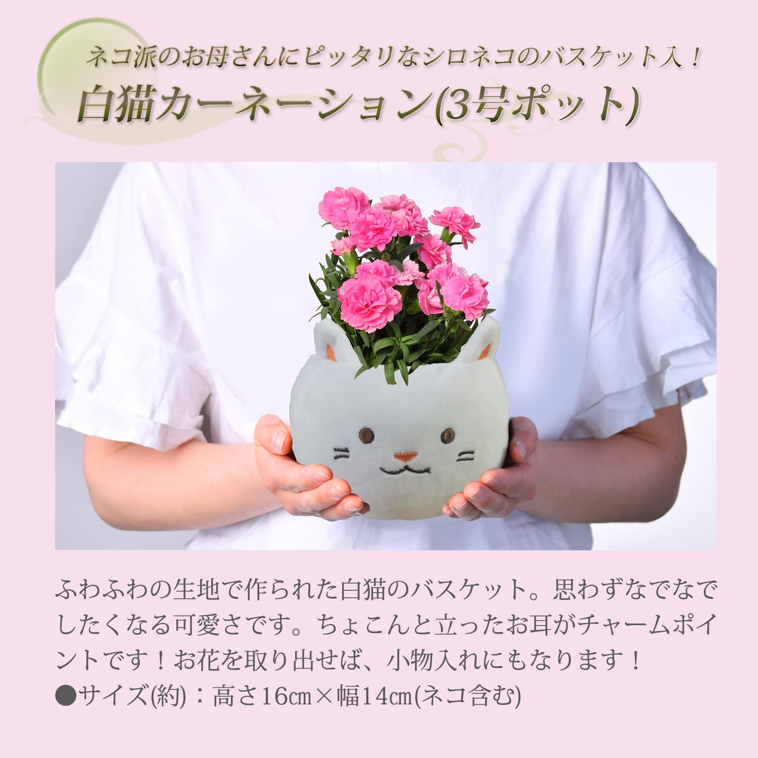 ����� �� ȭ���� �����͡������ �ץ쥼��� ��ȭ ��������ե� ������Υץ쥼���