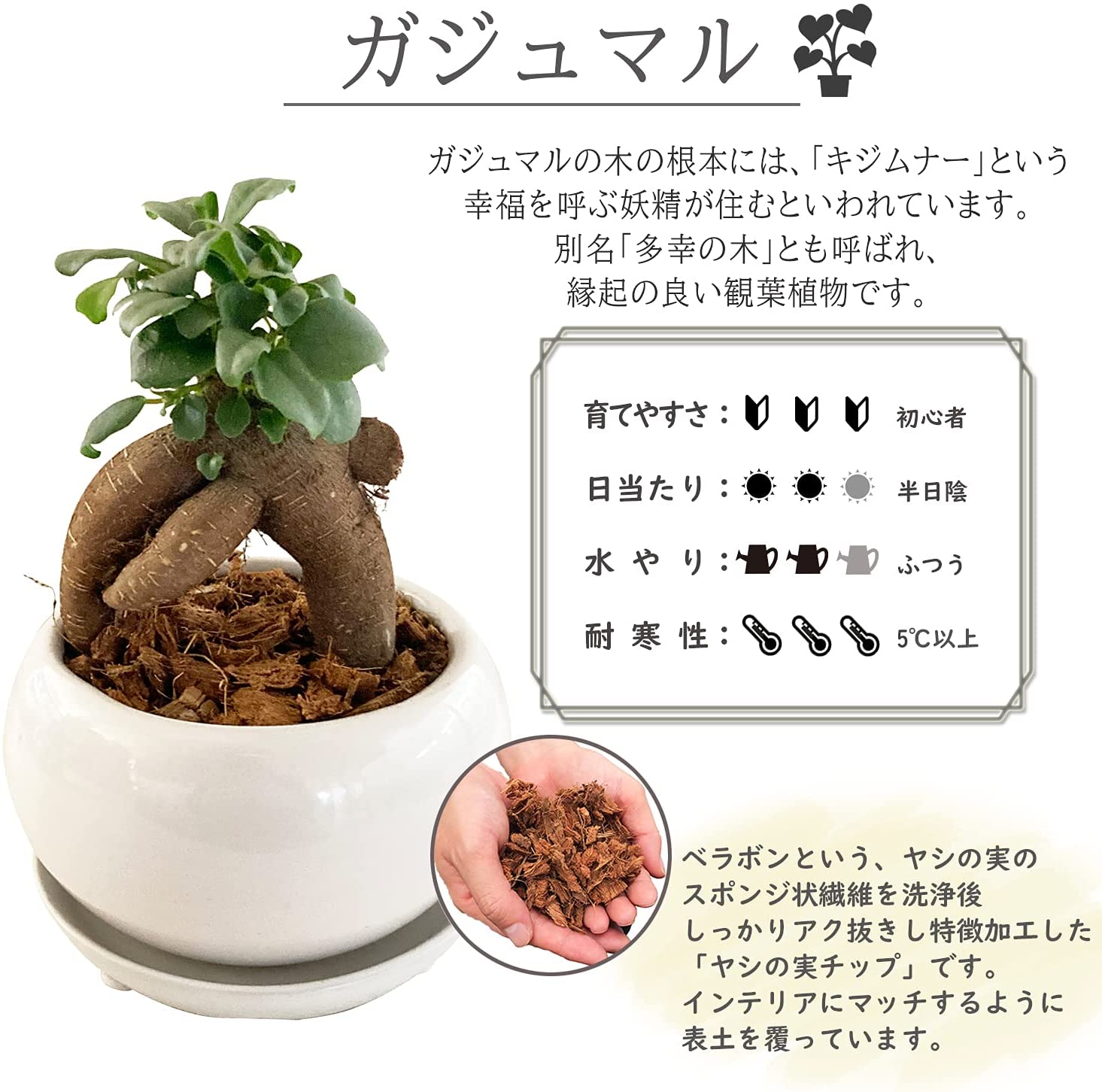 ������ޥ���� ������ޥ�ȭ���� ¿������ ������ޥ� ������ޤ� �ߥ˴��տ�ʪ ����