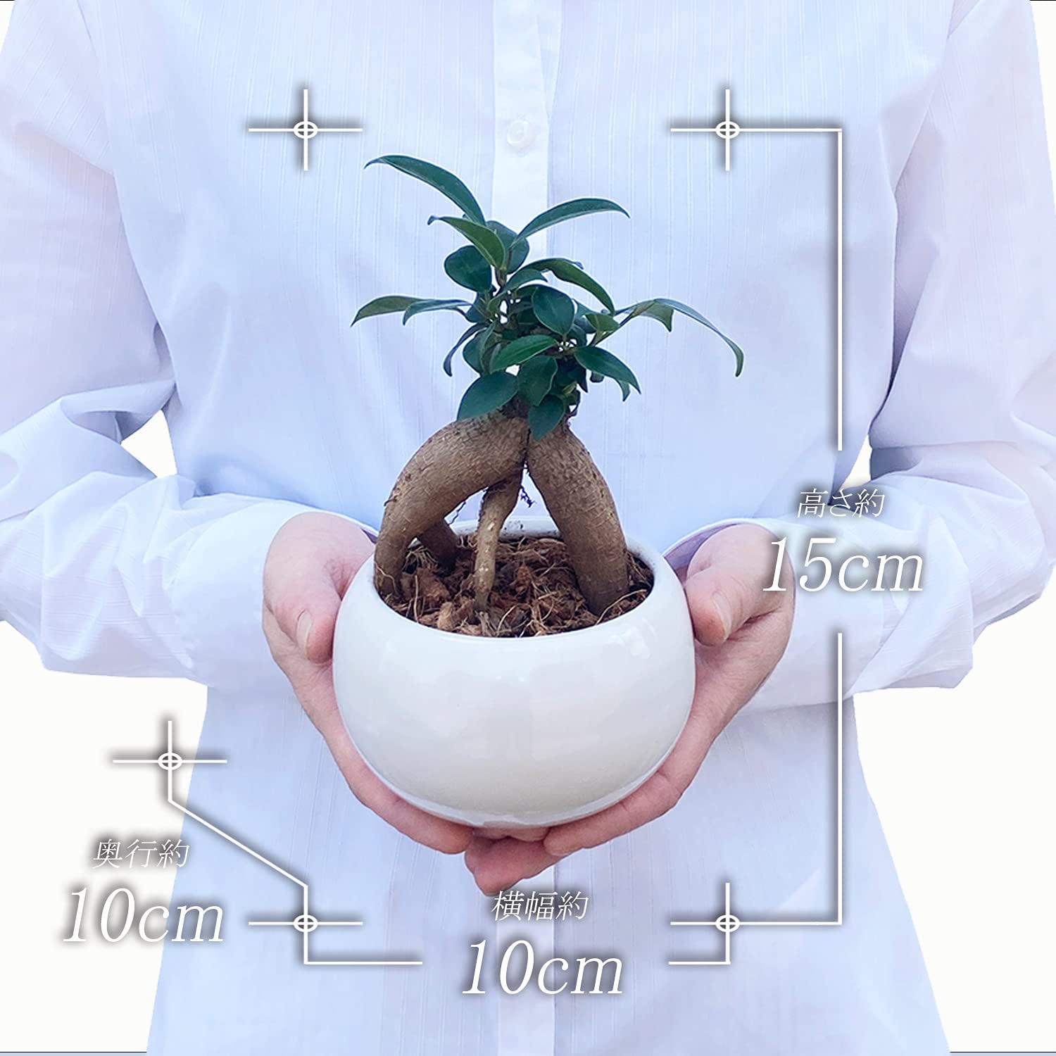 ������ޥ���� ������ޥ�ȭ���� ¿������ ������ޥ� ������ޤ� �ߥ˴��տ�ʪ ����