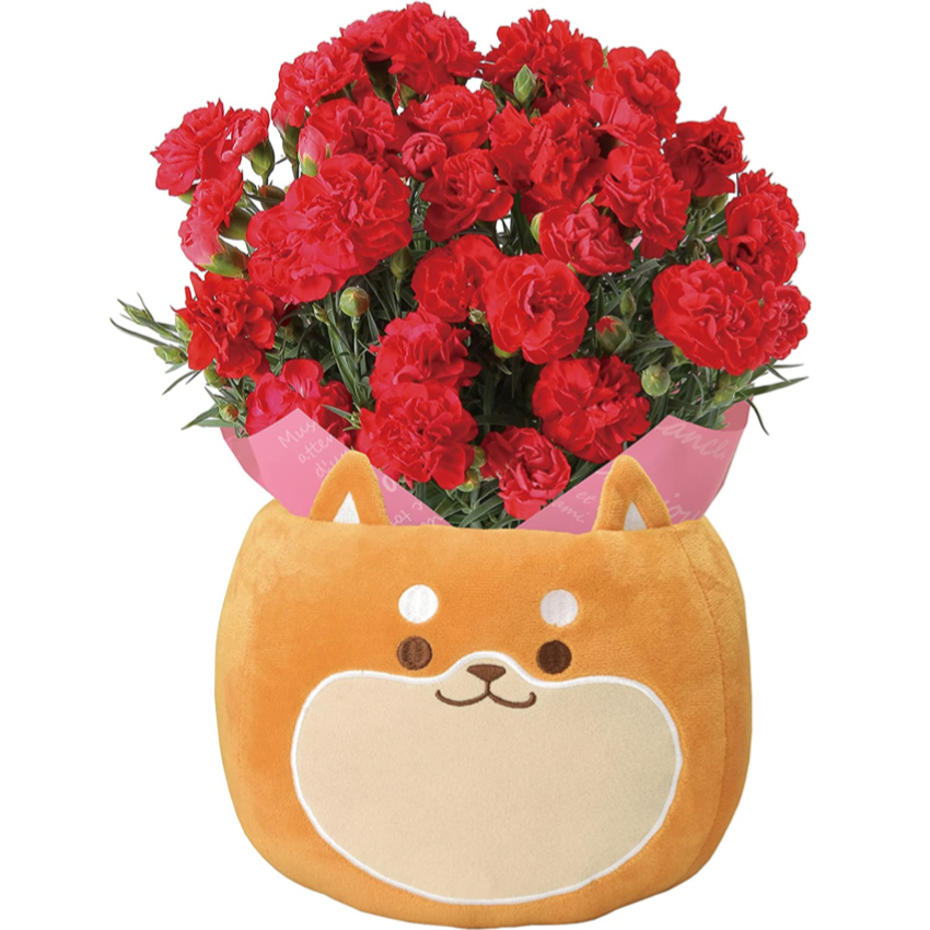 ����� �� ȭ���� �����͡������ �ץ쥼��� ��ȭ ��������ե� ������Υץ쥼���