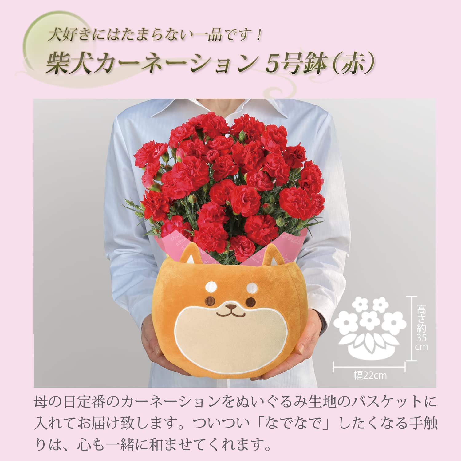 ����� �� ȭ���� �����͡������ �ץ쥼��� ��ȭ ��������ե� ������Υץ쥼���