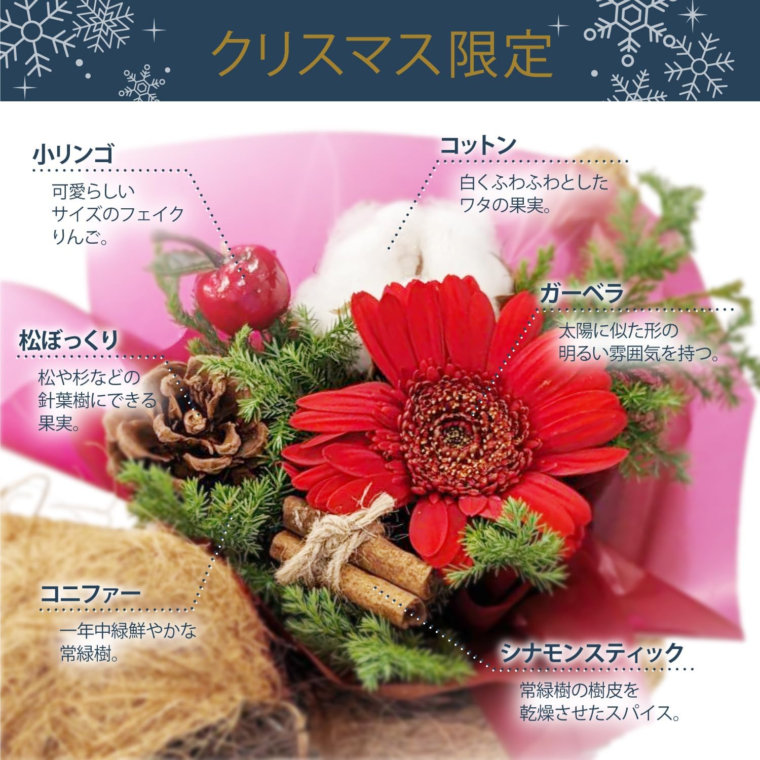 ���ꥹ�ޥ������ ����󥸥��� �ڤ�� �ե����ե� ������ �ץ쥼��� ���ե�