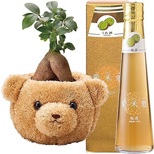 ������ޥ���� ¿������ ���� �Х����å� ���ټ�¤ �߼� �����ơ�̥ ���� ȭ��