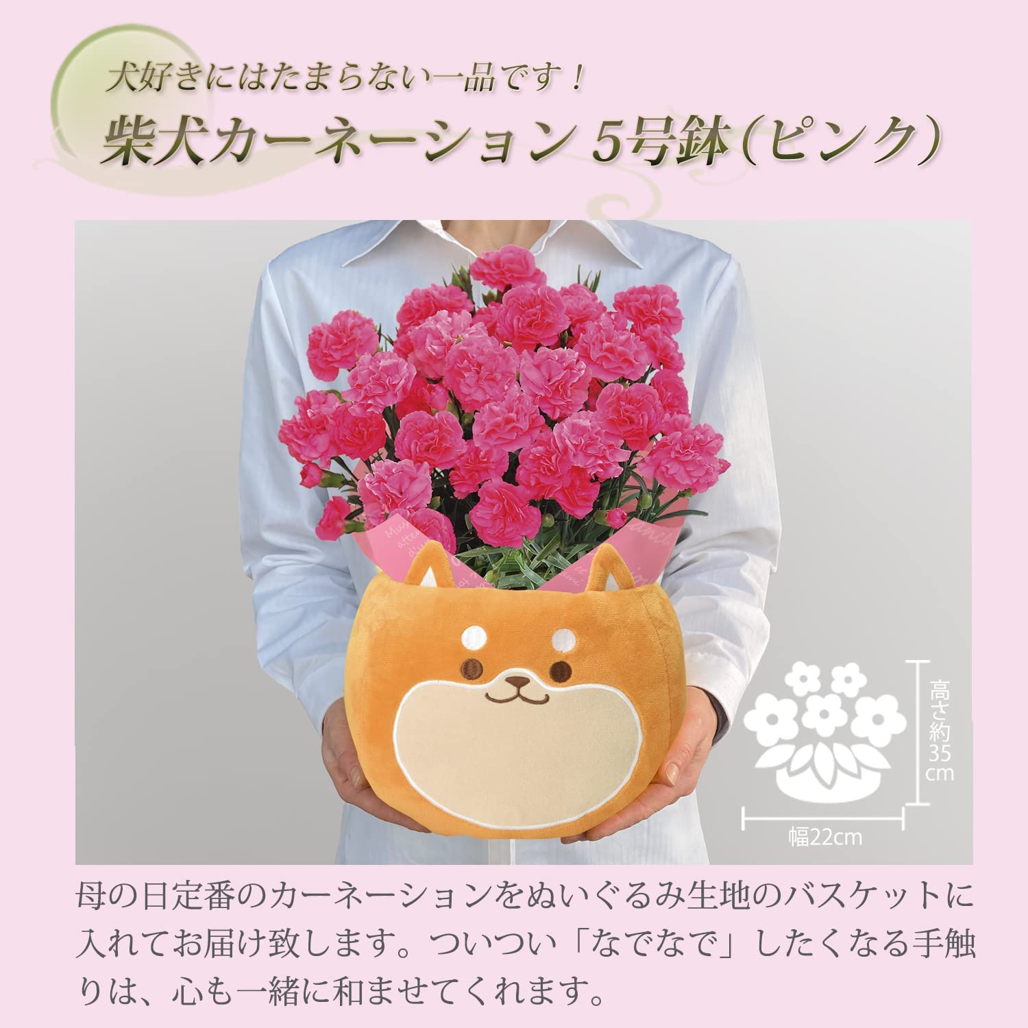 ����� �� ȭ���� �����͡������ �ץ쥼��� ��ȭ ��������ե� ������Υץ쥼���