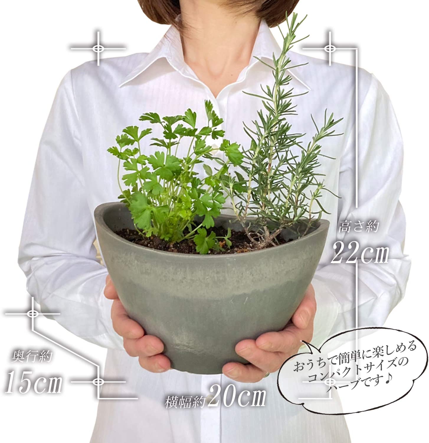 �ϡ��� ����Υ������ ���ޤ��� 2�糧�å� ȭ���� 3��ȭ