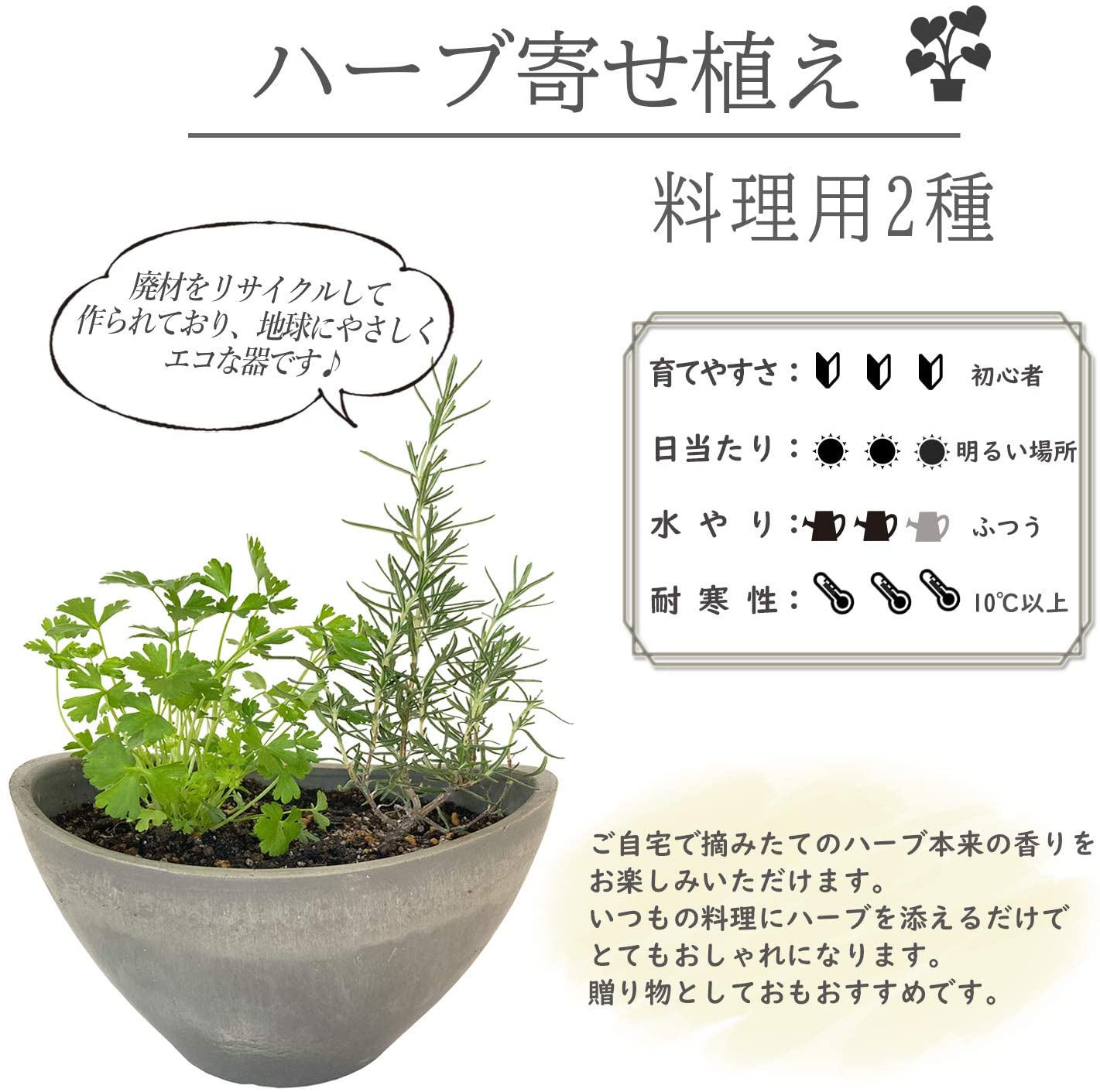 �ϡ��� ����Υ������ ���ޤ��� 2�糧�å� ȭ���� 3��ȭ