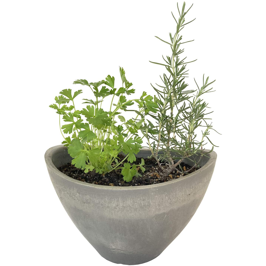 �ϡ��� ����Υ������ ���ޤ��� 2�糧�å� ȭ���� 3��ȭ