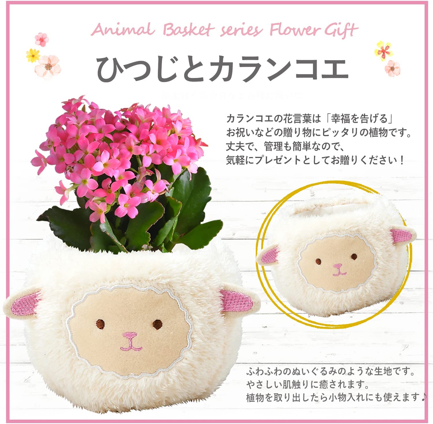 ���� ���ե� ������ �� ��ȭ �ҤĤ� �� ����󥳥�ȭ���� ����󤳤�ȭ����