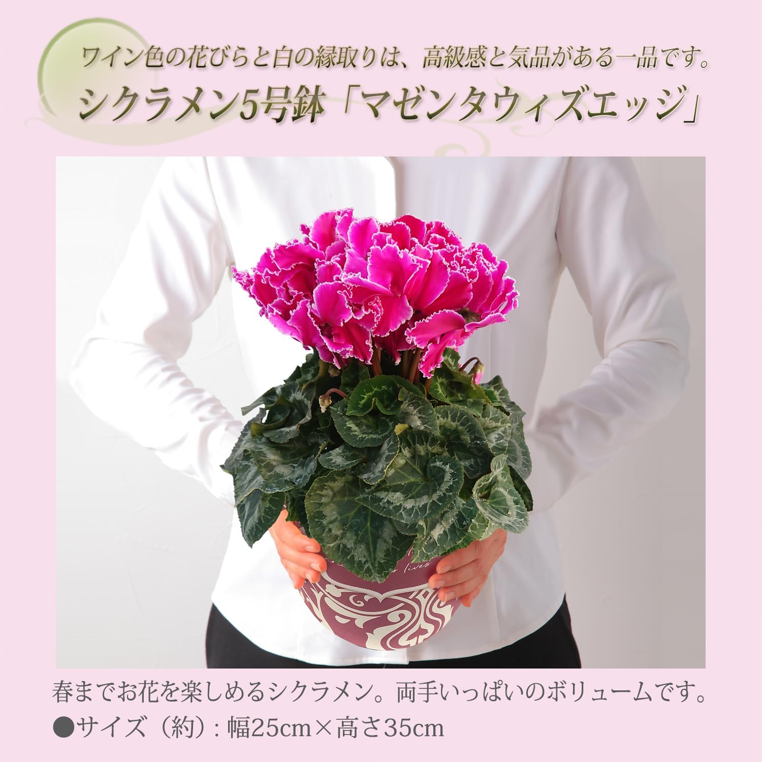 �������� ���ե� �ץ쥼��� �� ȭ���� ȭ�� ������ 5��ȭ �ޥ��󥿥��������å�