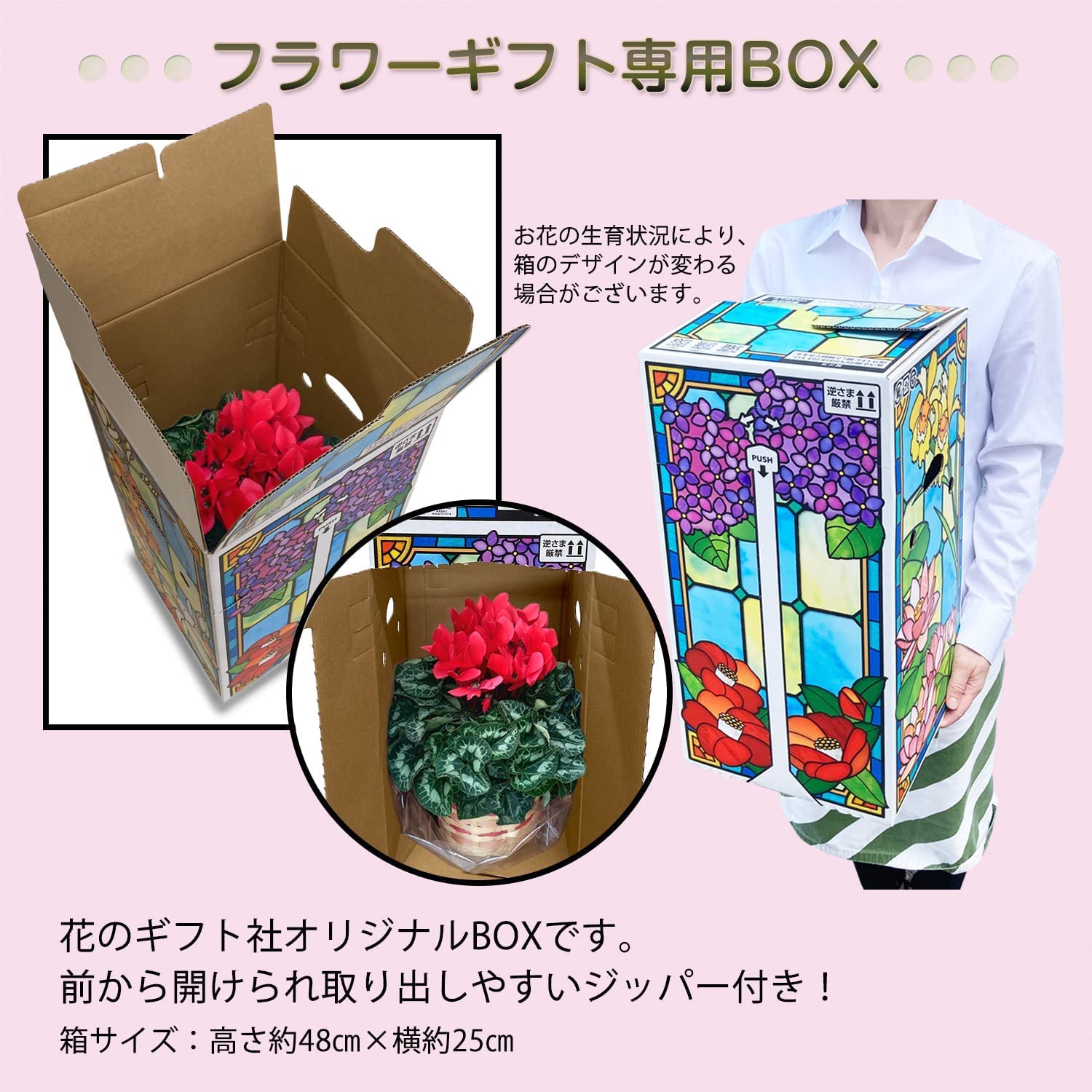 シクラメン ギフト プレゼント 花 鉢植え 鉢花 誕生日 5号鉢