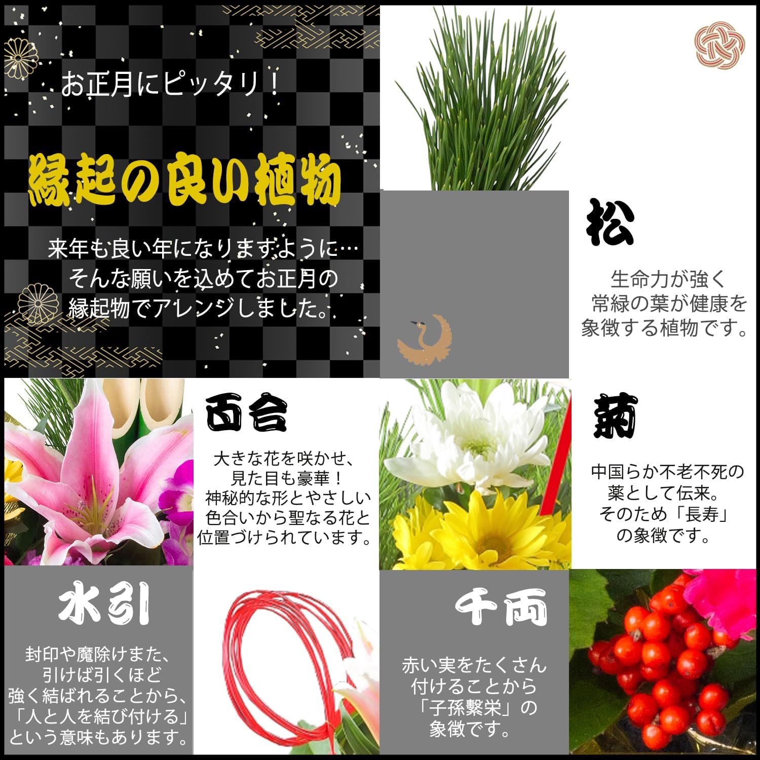 �޽ե���� ������β� ������ ����󥸥��� ��� �޽� ��쿷ǯ ������
